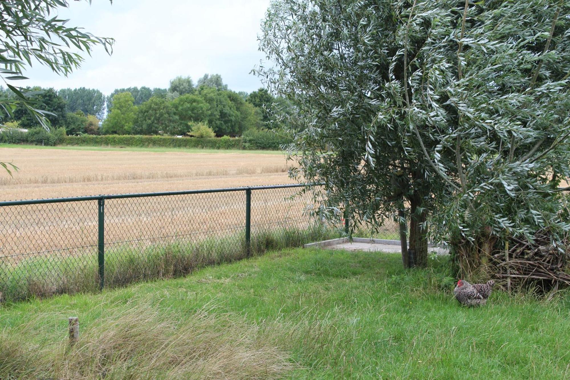 Slapen Aan De Voet Van De Molen Ovezande Eksteriør billede